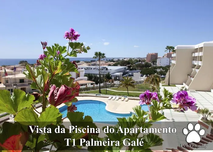 O A Ramos Palmeira Gale Esta Inserido Num Com Piscina, Fica Apenas A 250 Metros Da Da Gale - Com Ar Condicionado Na Sala, Smart Tv Com Prime Video E Cozinha Completa 公寓 阿尔布费拉