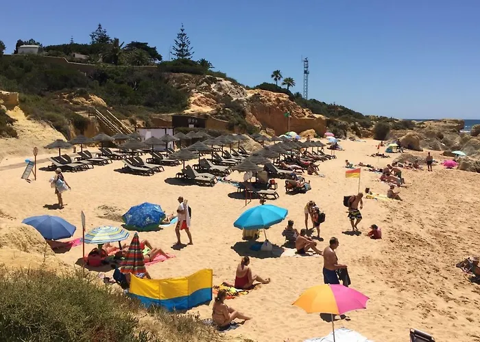 O A Ramos Palmeira Gale Esta Inserido Num Com Piscina, Fica Apenas A 250 Metros Da Da Gale - Com Ar Condicionado Na Sala, Smart Tv Com Prime Video E Cozinha Completa 아파트