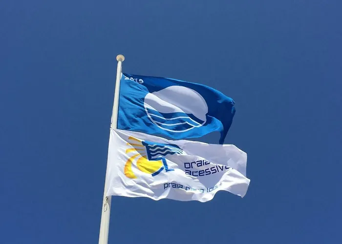 O A Ramos Palmeira Gale Esta Inserido Num Com Piscina, Fica Apenas A 250 Metros Da Da Gale - Com Ar Condicionado Na Sala, Smart Tv Com Prime Video E Cozinha Completa 아파트 알부페이라