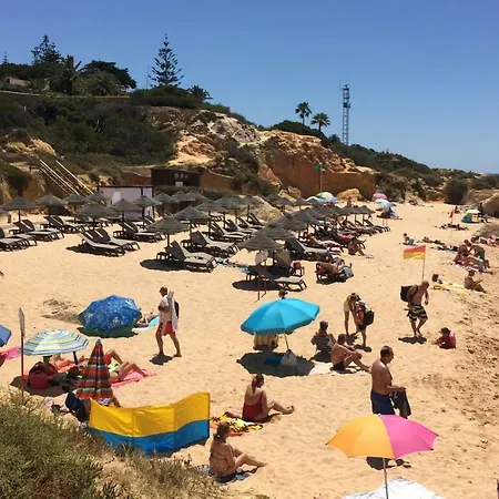 O A Ramos Palmeira Galé Está Inserido Num Com Piscina, Fica Apenas A 250 Metros Da Da Galé - Com Ar Condicionado Na Sala, Smart Tv Com Prime Vídeo E Cozinha Completa Apartamento