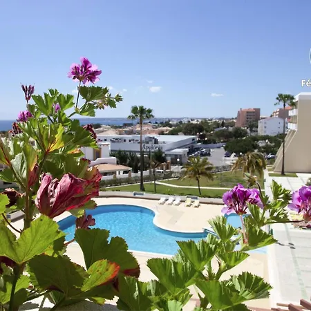 O A Ramos Palmeira Gale Esta Inserido Num Com Piscina, Fica Apenas A 250 Metros Da Da Gale - Com Ar Condicionado Na Sala, Smart Tv Com Prime Video E Cozinha Completa Apartment *